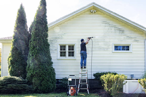 Best Best Pressure Washing Companies  in Wauregan, CT